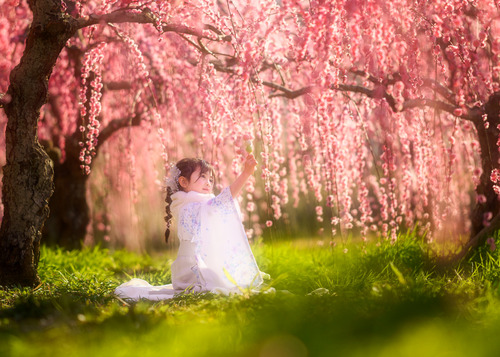 梅並木 袴でお花見 子供ポートレート撮影
