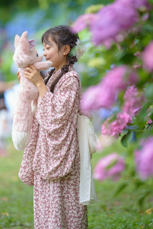 紫陽花浴衣ポートレート子供