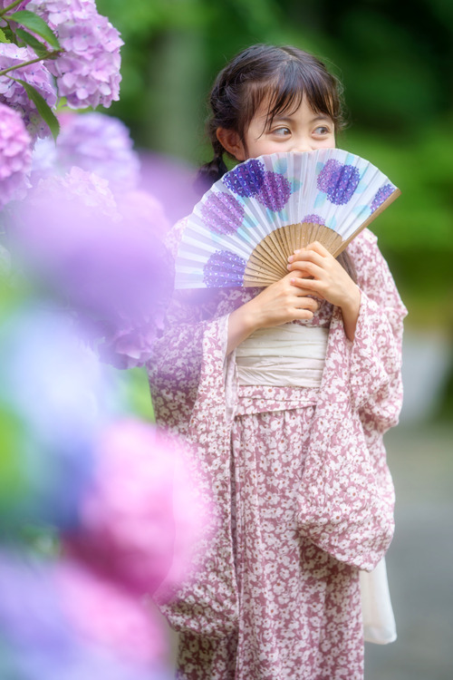 紫陽花浴衣ポートレート子供