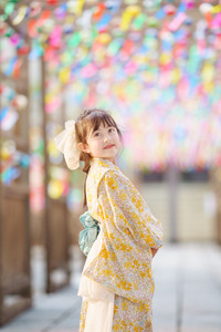 可睡斎風鈴祭り2023 2023/06/09 20:15:00