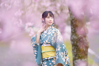 枝垂桜と着物ポートレート 2021/04/08 08:16:00