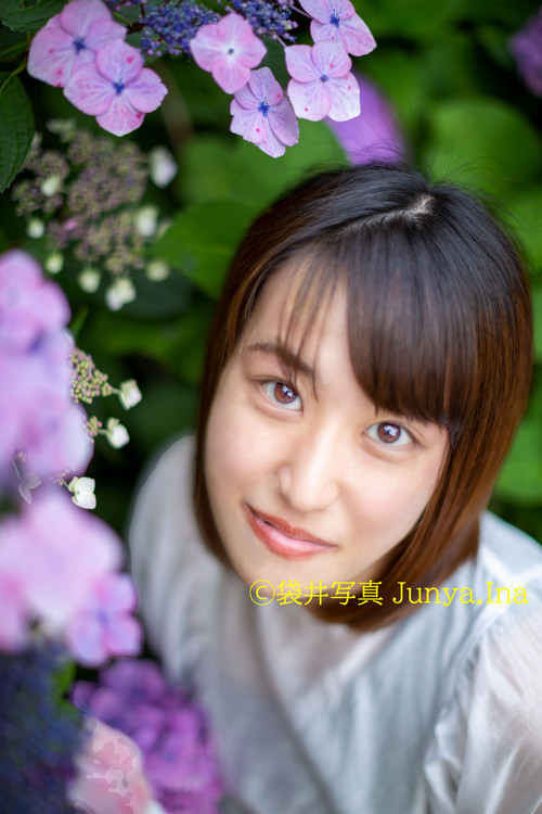 紫陽花ポートレート法多山