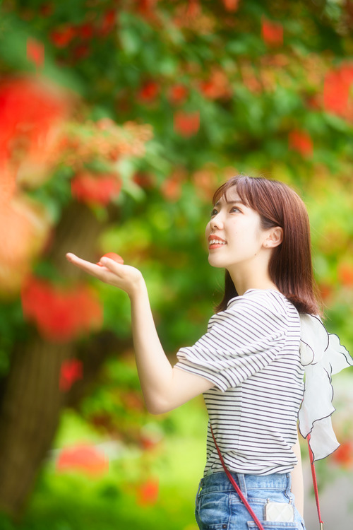 アメリカデイゴ花ポートレート
