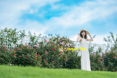 夏空ポートレート