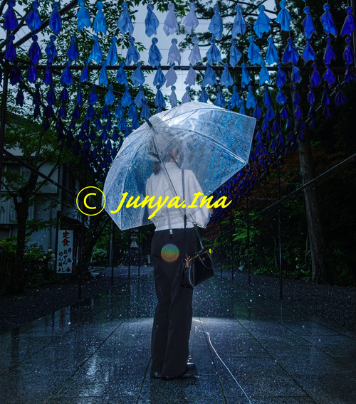 てるてる坊主雨傘