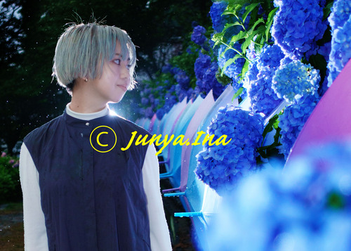 紫陽花ポートレート