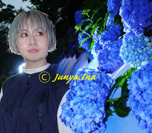 紫陽花ポートレート