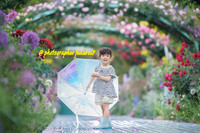 雨の浜名湖ガーデンパーク薔薇アーチへ 2023/06/01 17:18:00