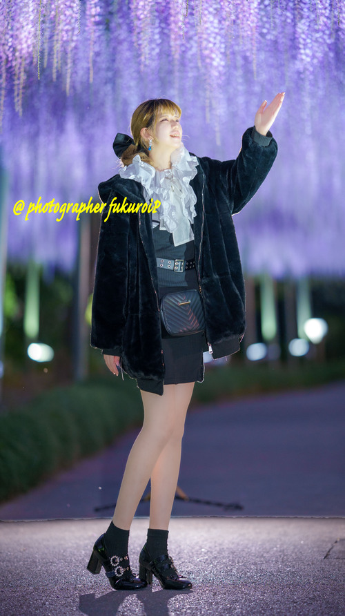 藤ポートレート