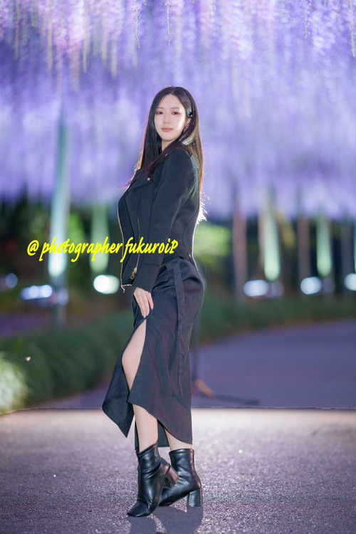 藤ポートレート