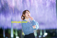 フラワーパーク藤のライトアップ 2023/04/24 19:18:00