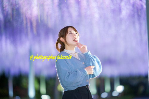 藤ポートレート
