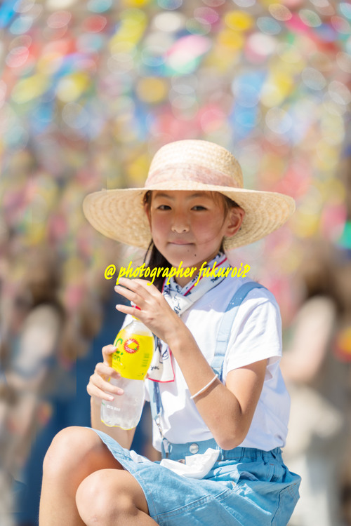 風鈴ポートレート 可睡斎