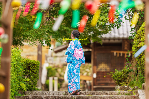 可睡斎風鈴祭り 袋井市遠州三山