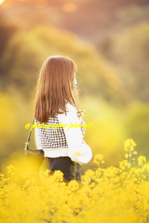 菜の花ポートレート