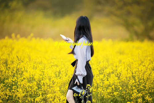 菜の花ポートレート