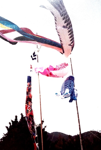 時代を超えて泳ぐ魚。