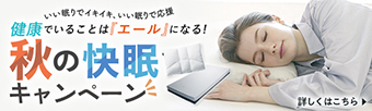 羽毛ふとん　お値打ち品情報