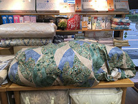 とうとう、犠牲者が出てしまいました！ 2023/06/12 21:04:33