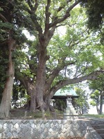 居場所。