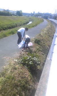 掃除中止のお知らせ 2009/05/17 01:21:28