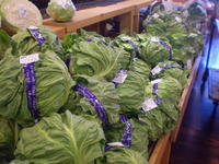 とれたて食楽部です！ 2011/05/14 13:31:02