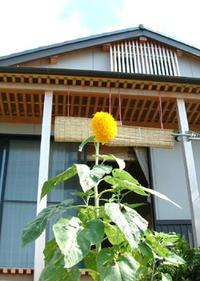 夏の住まい－通風 1　 2009/07/01 20:21:56