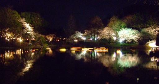 夜桜　五景