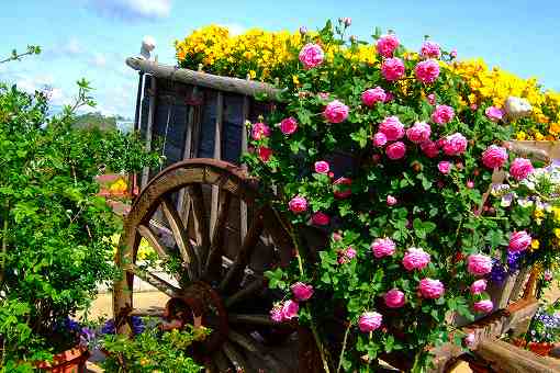 花飾りの荷車