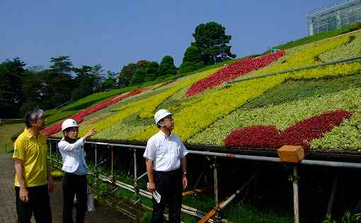 浜松副市長「モザイカルチャー」現地視察