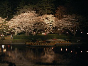 夜桜開園