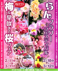 ｢梅＆早咲きの桜｣と｢らんフラワーフェスティバル｣