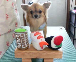 クウくん