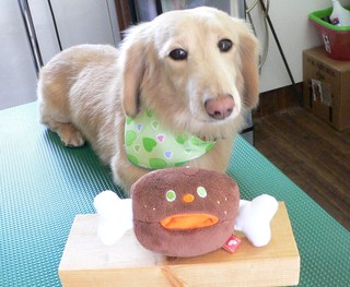 レンくん