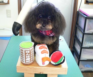 メイちゃん