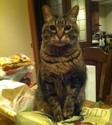 久しぶりの我が家