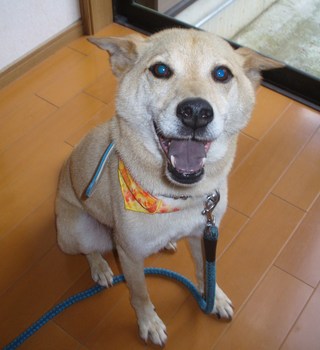 久しぶりに