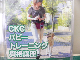しつけ用DVD