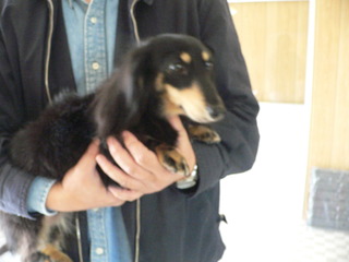 新しい飼い主さん決まりました
