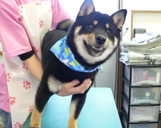 アースくん