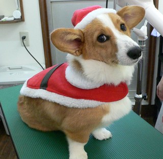コロッケくん