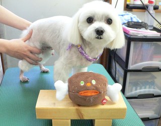 アミちゃん