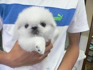 やるときはやるよ　フリーダム