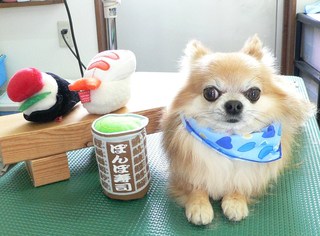 ケンくん