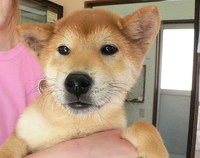 ☆祝☆
