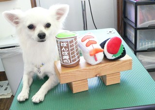 キャンディーくん