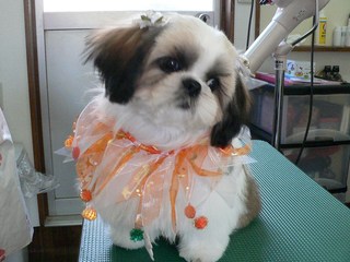 みかんちゃん＆ももちゃん