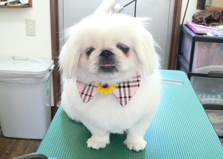 みかんちゃん＆ももちゃん