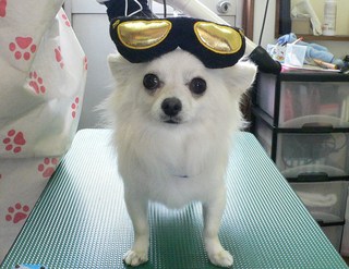 ミルクくん