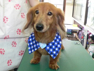 ラブくん